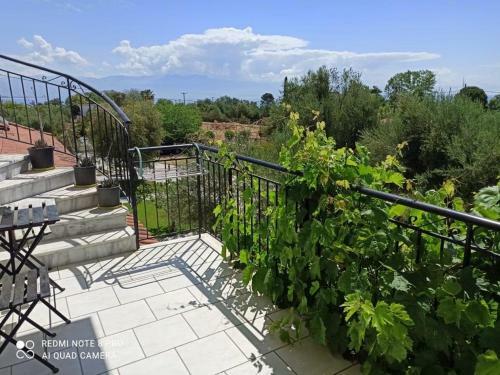 Anastasios Olive Garden Apartments
