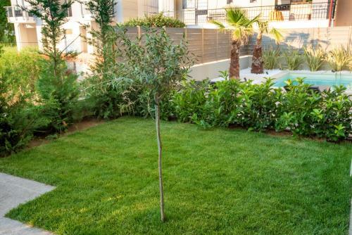 Apartamento Olive 303