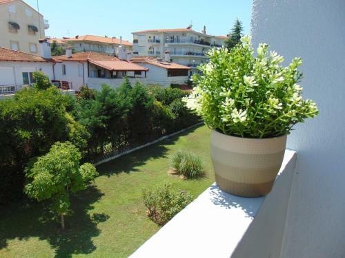 Apartamento Casa Verde