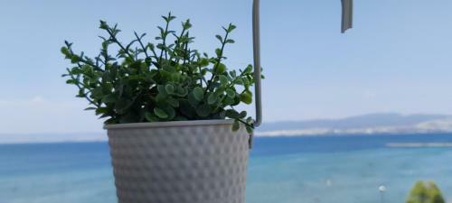 Sea View Perea Apartment
