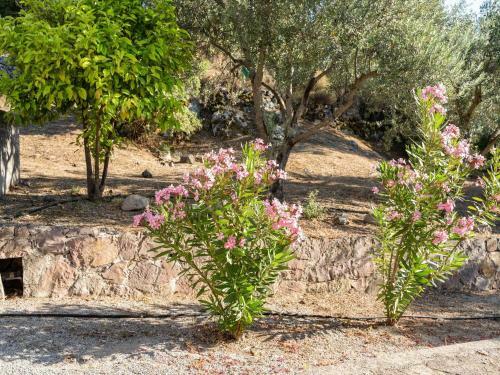 Serene Apartment In Lesvos Island With Swimming Pool