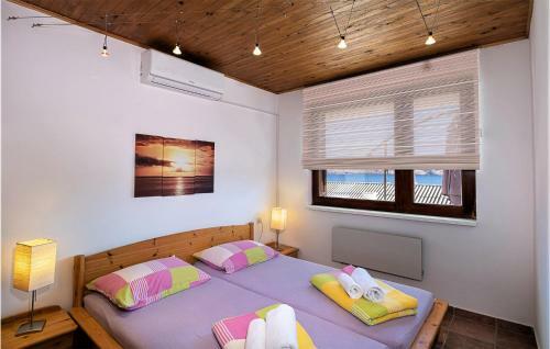 Awesome Apartment In Ribarica With 2 Bedrooms