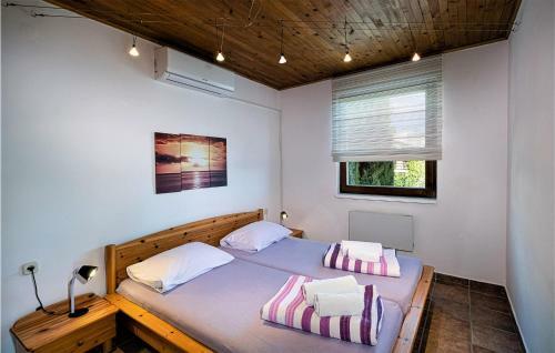 Awesome Apartment In Ribarica With 2 Bedrooms