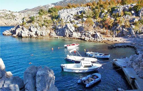 Awesome Apartment In Ribarica With 2 Bedrooms