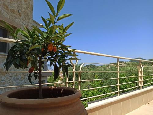Apartamento Gallery Suites Parga