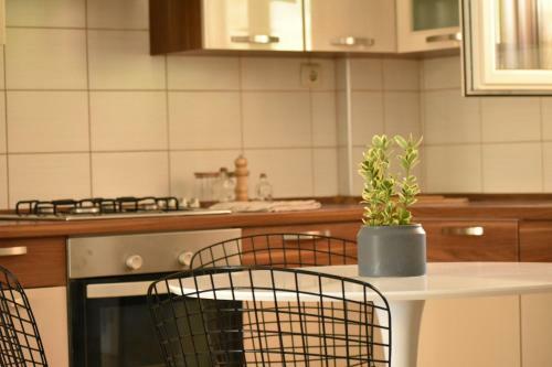 Apartamento Gallery Suites Parga
