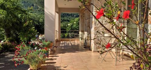 Apartamento Gallery Suites Parga
