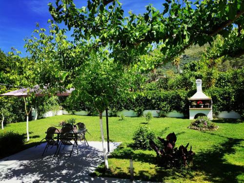 Apartamento Aurora Studios