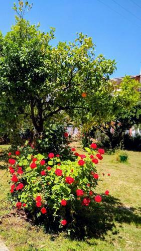 Apartamento Villa Perivoli