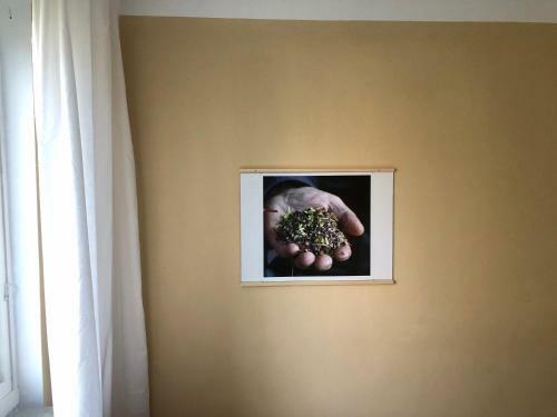 Albergue Hemmet Simrishamns Vandrarhem Och B&B