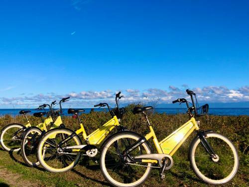 Albergue Hemmet Simrishamns Vandrarhem Och B&B