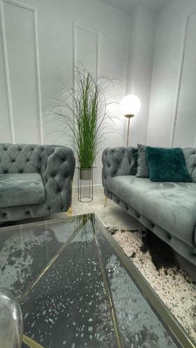 Apartamento Perfect Stay