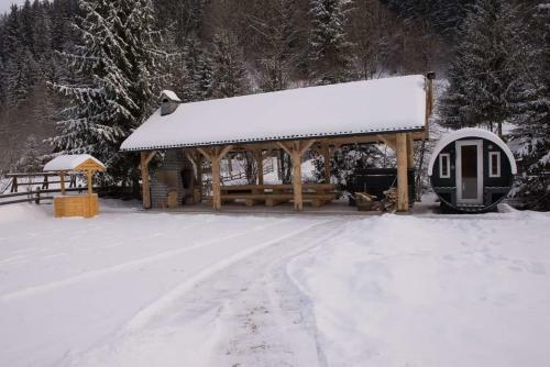 Apartamento Wild Tree House