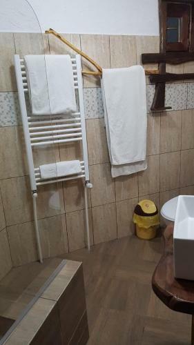 Hotel Complexul Sura Brazilor