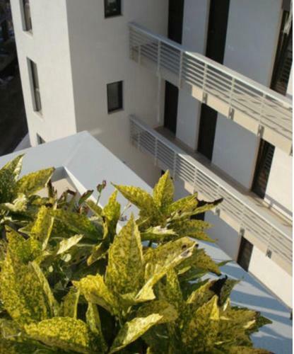 Apartament Alexandru Neptun Private Suites
