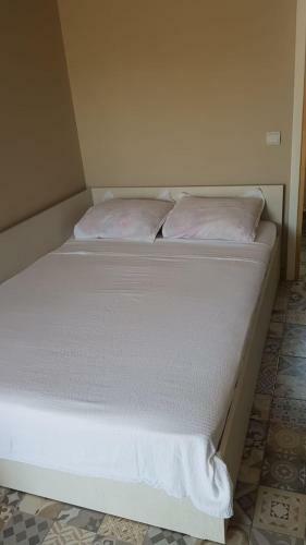 Hostal Pensiunea Amyrar