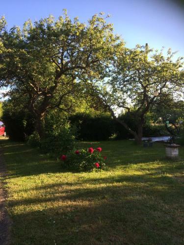 Bed & Breakfast Martebo Eco B & B