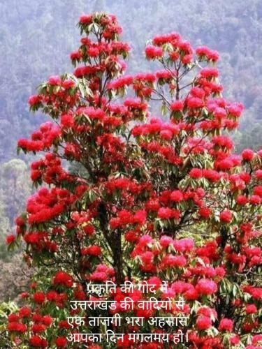 Uday Home Stay