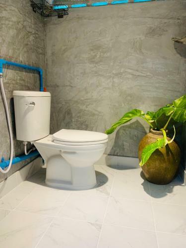 Hostal Free Concept Beach Resort