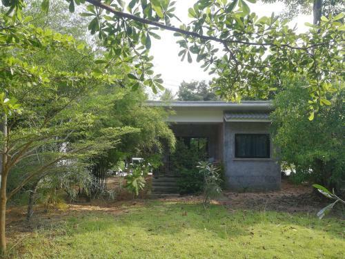 Dg House