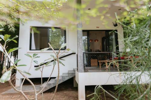Dg House