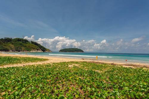 Apartamento New Cozy Design Studio At Nai Harn Beach