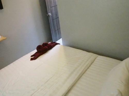 Hostal Lotto House