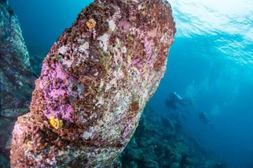 Hotel Forra Dive Resort Sunrise