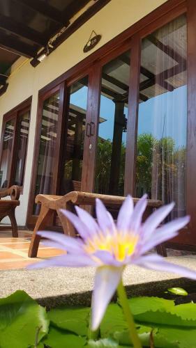 Hostal Niracha Chaweng House