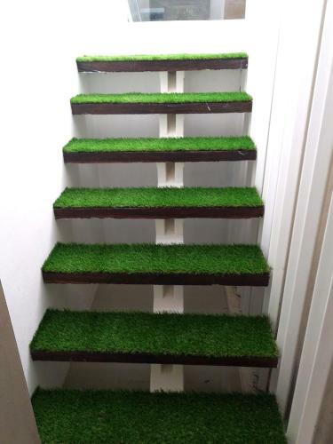 Hostal Jungle White House ?????