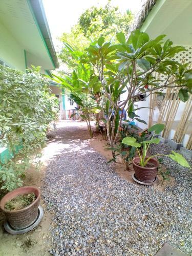 Hotel Sunya Cottage