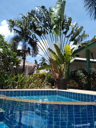 Hotel Sunya Cottage