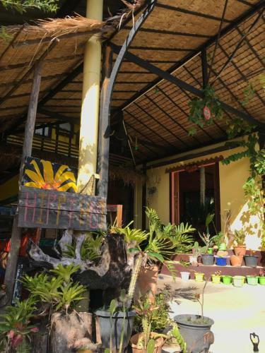 Hippy Hut Glamping Belltent