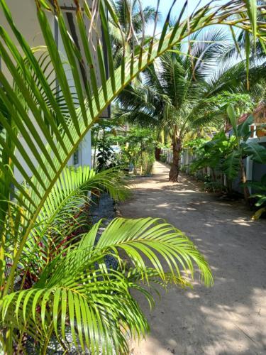 Agroturismo Sweet Home Phangan.