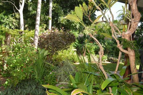 Balinese Villa