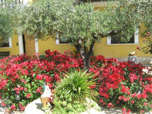 B&B Mariposa