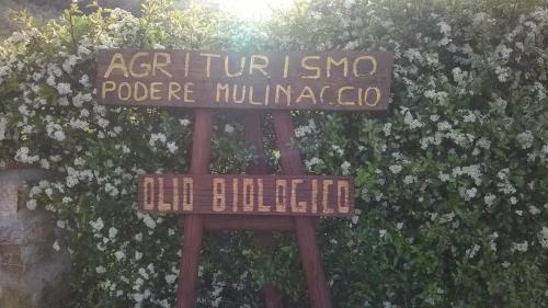 Agroturismo Agriturismo Podere Mulinaccio