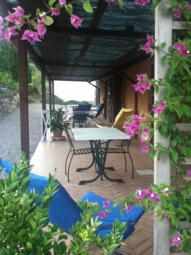 Agroturismo Agriturismo Podere Mulinaccio