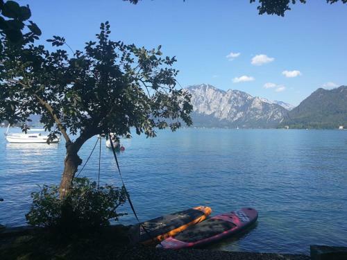 Apartamento Ferienwohnung Mit Seeblick, Unterach Am Attersse