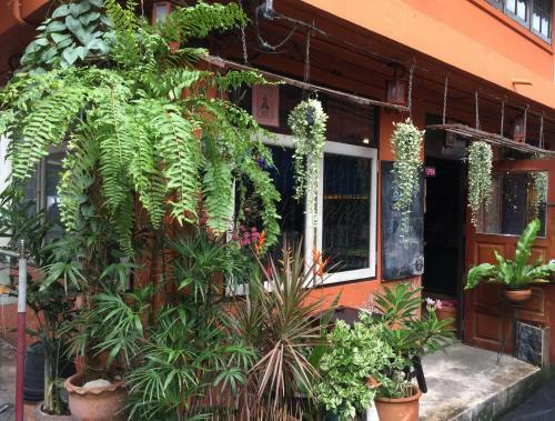 Hostal Hidden Lumpu