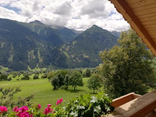 Apartamento Voltahof