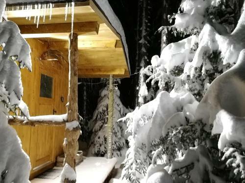Camping Lechtal