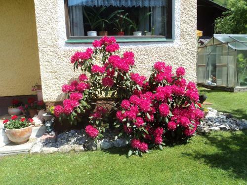 Apartamento Gondelblick
