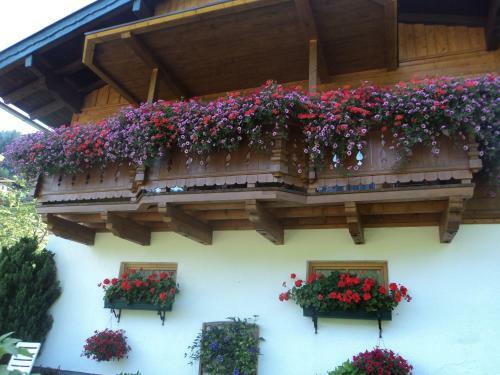 Apartamento Gondelblick