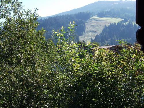 Apartamento Landhaus Michael