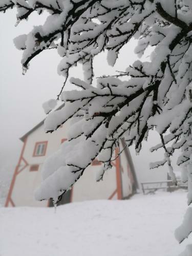 Apartment Schloffer
