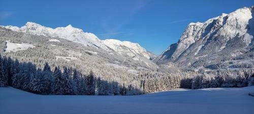 Apartamento Appartement Winteraugut