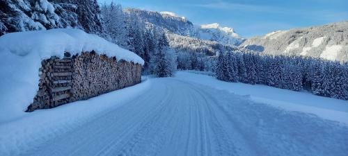 Apartamento Appartement Winteraugut