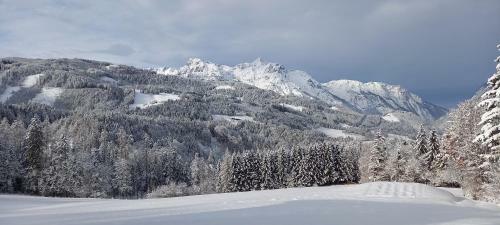 Apartamento Appartement Winteraugut