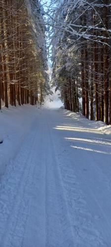Apartamento Appartement Winteraugut